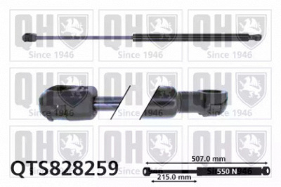 QUINTON HAZELL qts828259 -  Газовая пружина, крышка багажник
